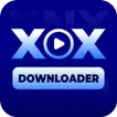 Video Downloader & Launcher
